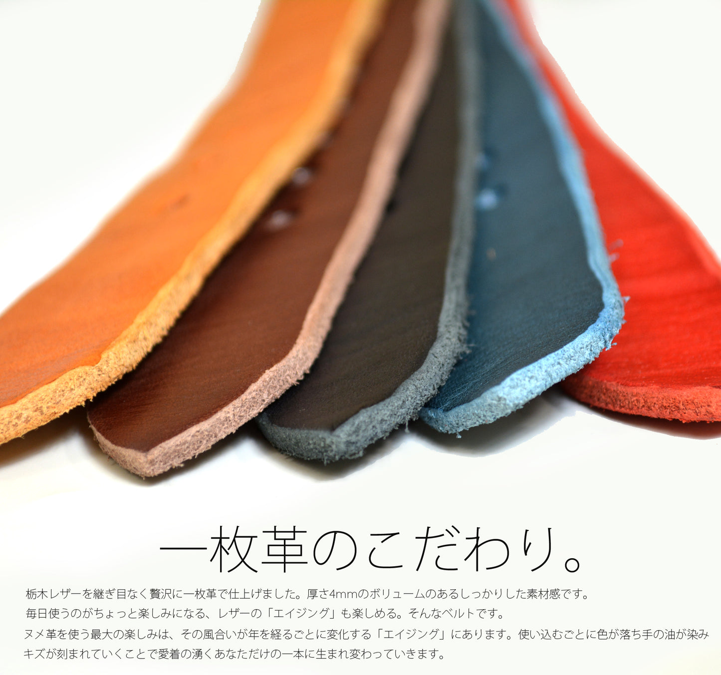 カジュアルベルト